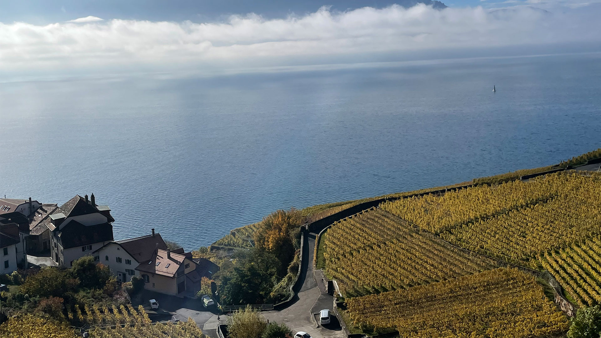 Lavaux