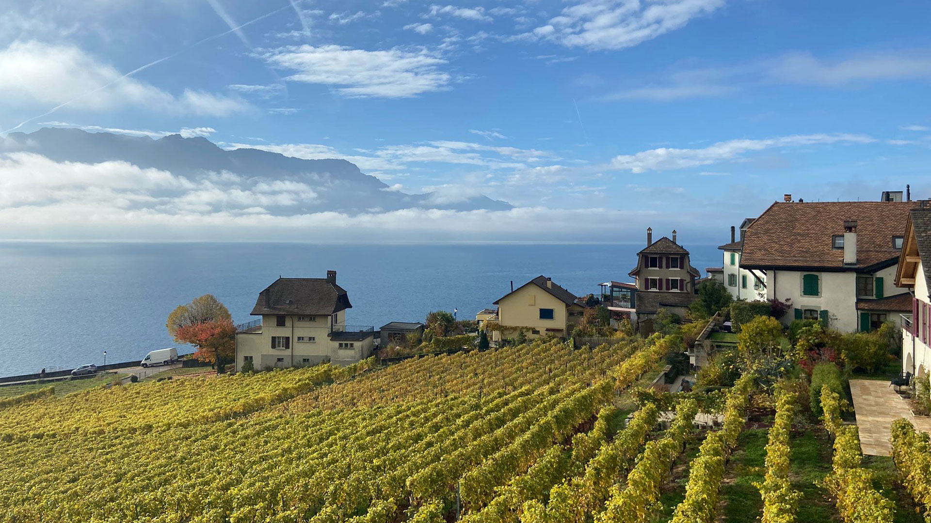 Lavaux