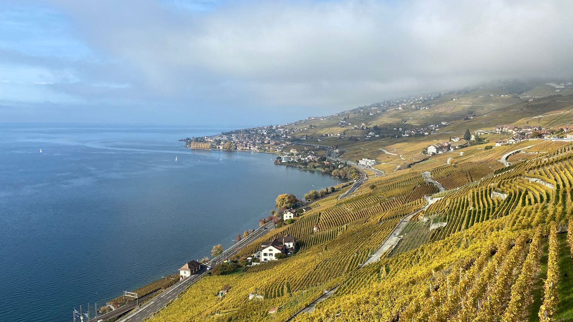 Lavaux