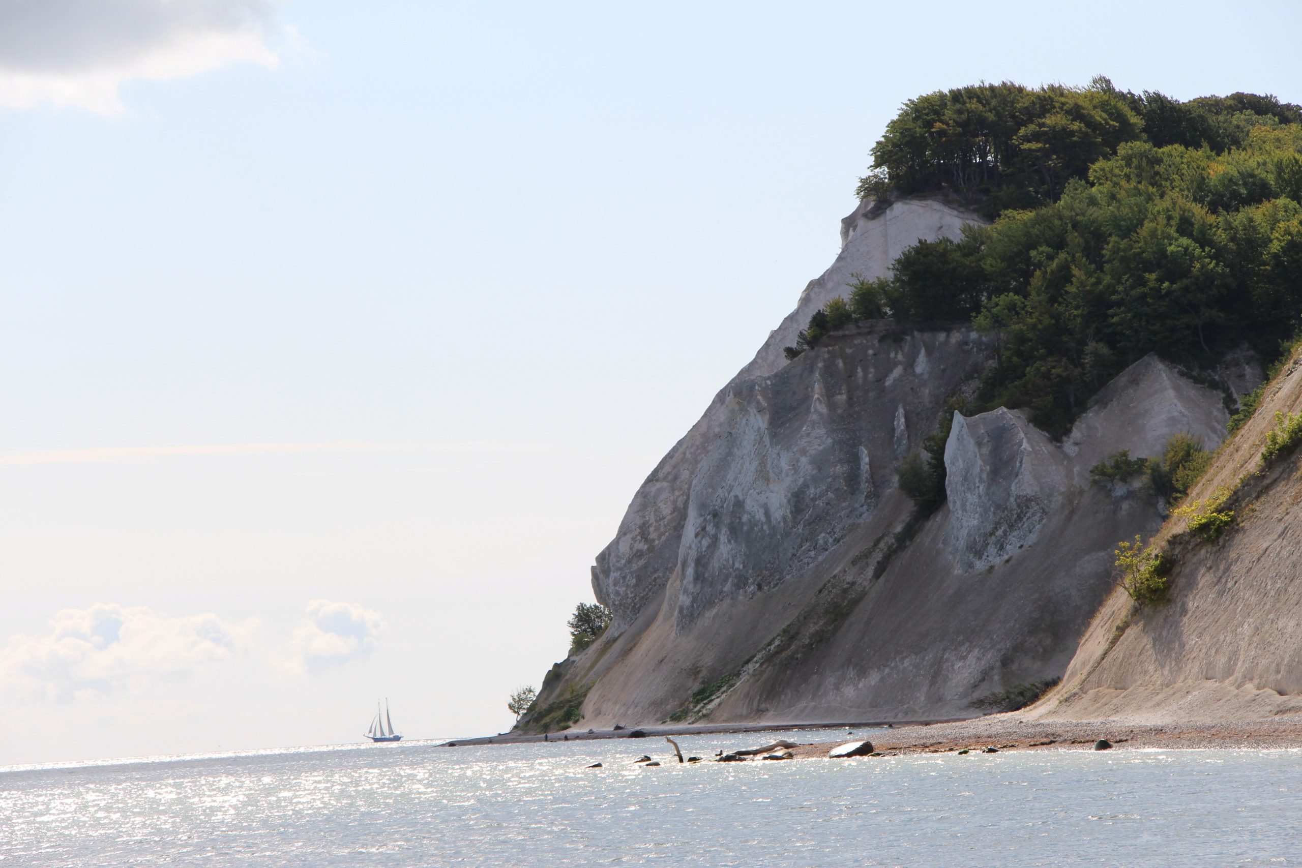 DK IMG_7456.JPG Møns Klint 5