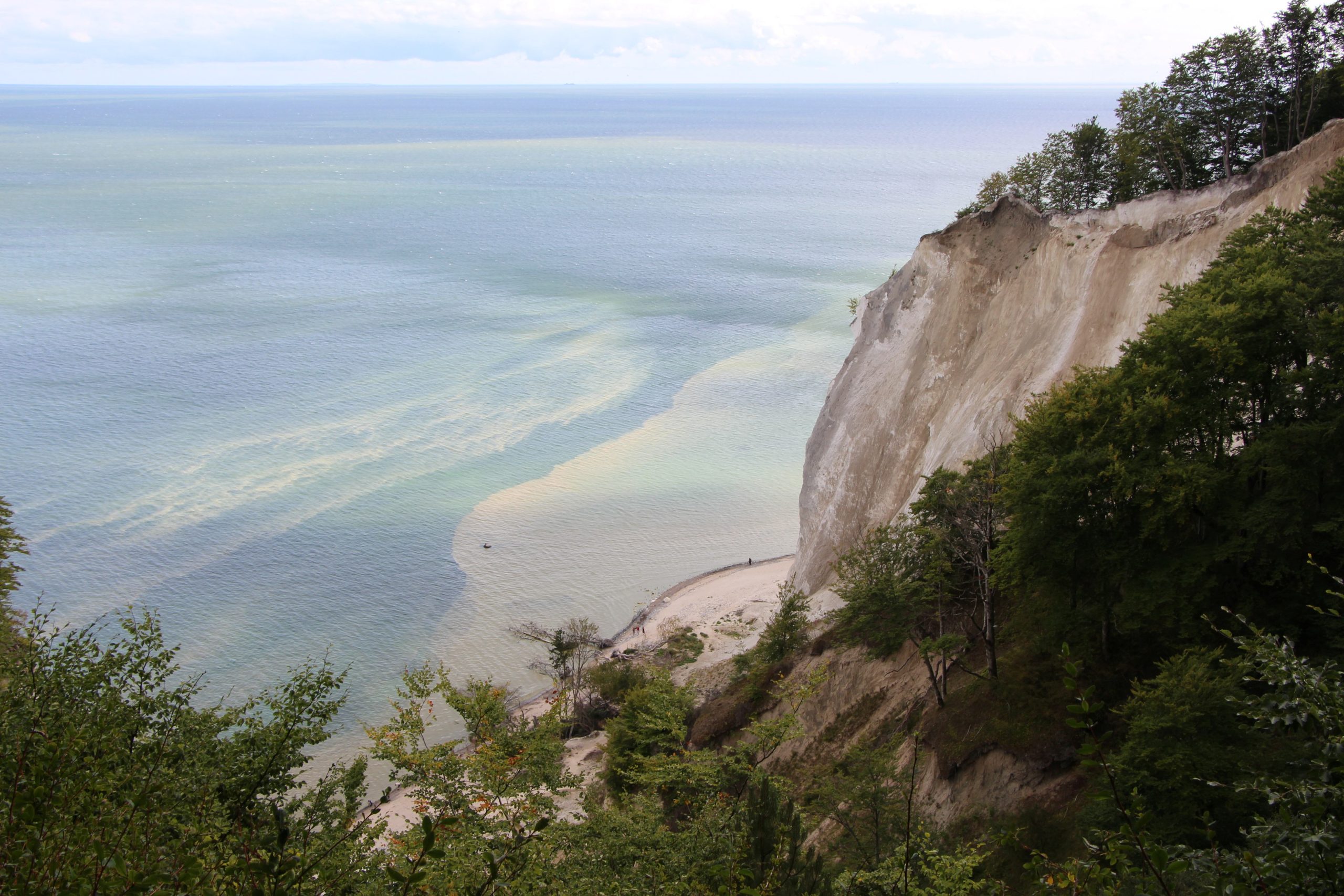 DK IMG_7488.JPG Møns Klint 8